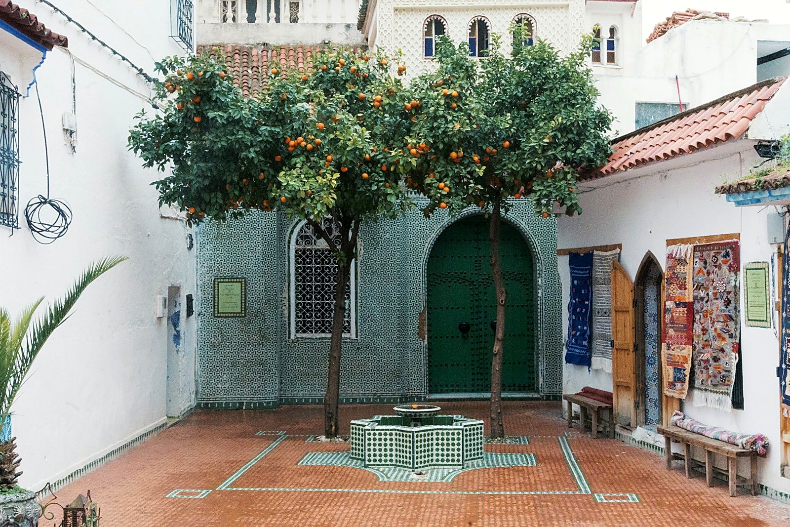 Patio arboré baigné de lumière, murs clairs.